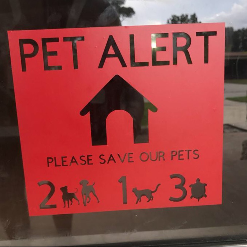 Emergency pet alert window decal